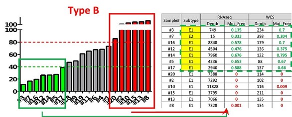 Fig. Further testing of Cancer Type B against cpd, combined with genomic analysis of positive and negative responders to reveal companion diagnostic.