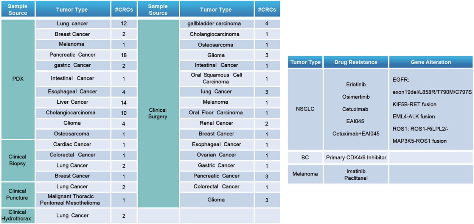 LIDE has developed over 100 CR cells (left) in which some of PDX matching CRCs exert special drug resistance/genetic alteration (right)