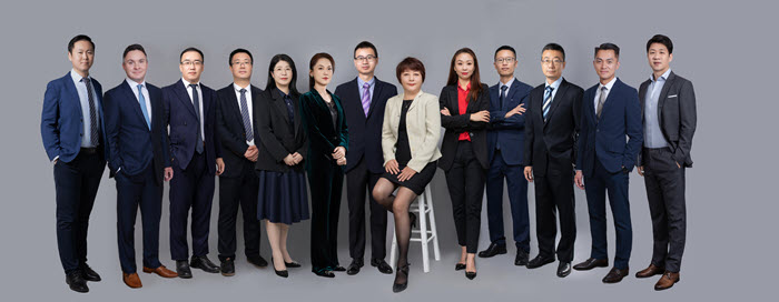 CEO Dr. Danyi Wen and LIDE Management Team