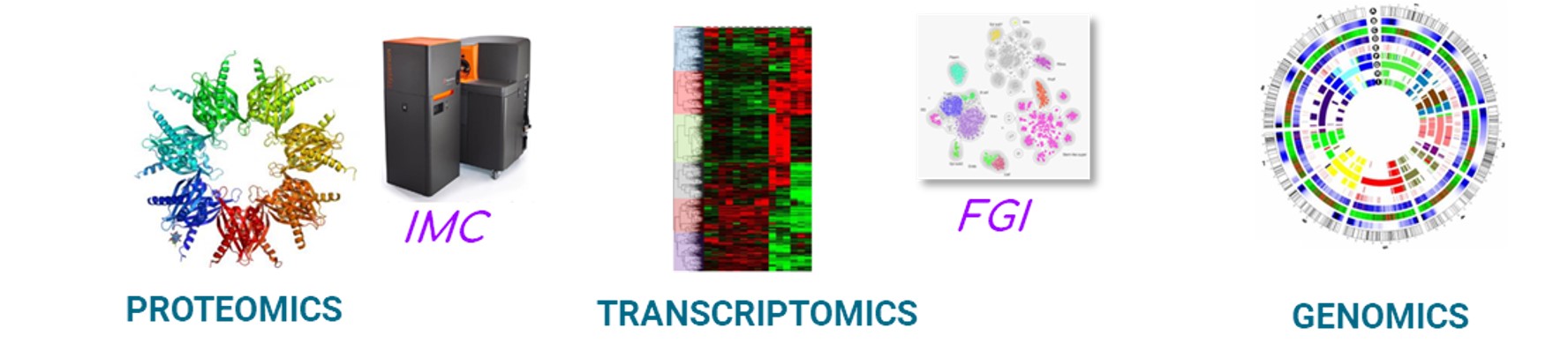 Fig. LIDE “omics” analysis capabilities at genome, transcriptome or protein level.