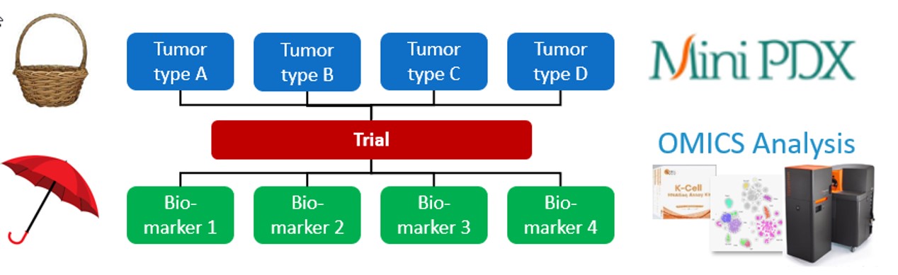 Fig. LIDE Functional Diagnosis platform can offer complementary insights to basket and umbrella trials but in preclinical stage.