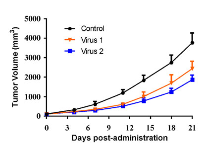 Oncolytic-Virus-Graphs_3